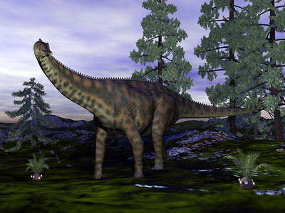 Spinophorosaurus恐龙在wollemia松树旁边3D渲染恐龙形象的野生动物水图片