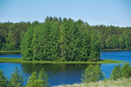 自然基诺零俄罗斯Arkhangelsk湖地区的木岛草图片