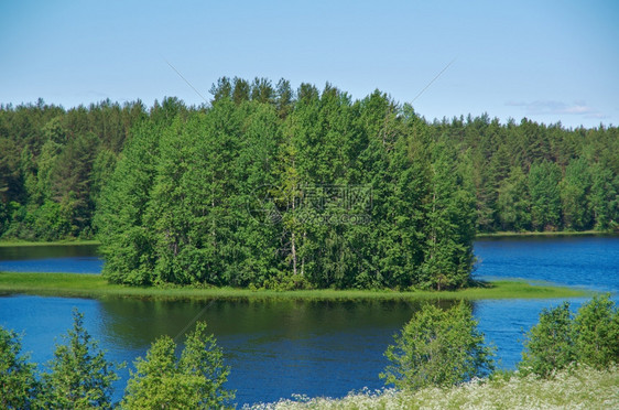 自然基诺零俄罗斯Arkhangelsk湖地区的木岛草图片