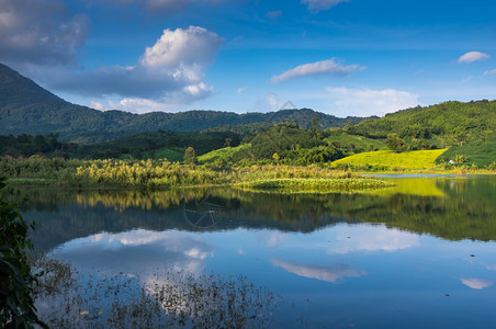 池塘风景泰国NamNgim区SongKhwaeNan水和反应库旅行图片