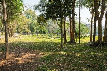 南邦绿色棕的泰国兰芒省Chaeson自然公园花景观泰国拉姆邦图片