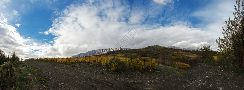 地平线葡萄藤行业山上和葡萄园全景的山顶和天空云层背景上的葡萄园图片