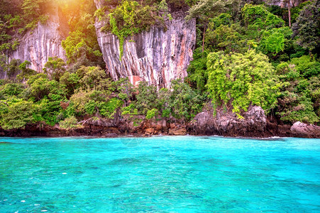 景观太平洋的菲岛和海岩石夏天图片