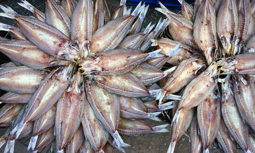 桩干鱼海鲜产品咸盐越南食品通常在亚洲沿海地区在越南露天市场展示颜色食物图片