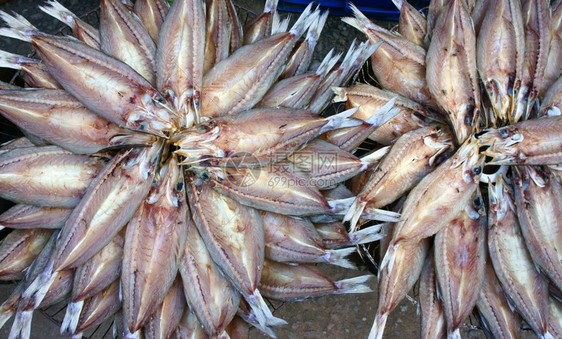 桩干鱼海鲜产品咸盐越南食品通常在亚洲沿海地区在越南露天市场展示颜色食物图片