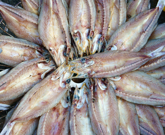 烘干越南语顺鱼海鲜产品咸盐越南食品通常在亚洲沿海地区在越南露天市场展示图片
