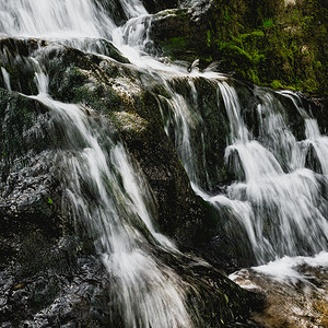 夏天环境季森林山上河瀑布沿行走岩石图片
