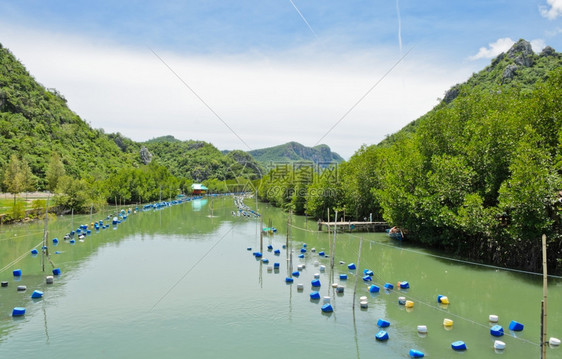 汗天空户外泰国石灰岩山沿岸的虾田图片