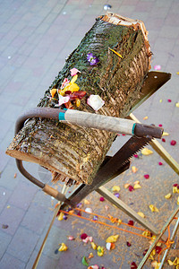 新婚游戏树干锯破裂自然材料图片