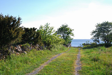 场景草地在瑞典奥兰德岛海岸前通过一个开放木制门的农村通道老图片