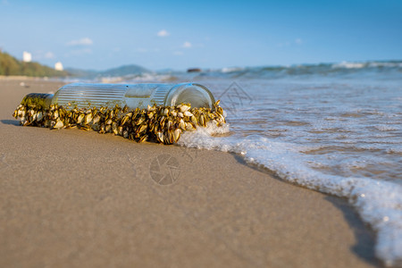 贝壳沙滩上装有海的旧玻璃瓶图片