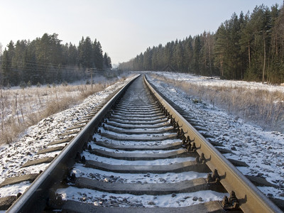 平行线寒冷的无雪冬季森林中铁路轨迹的风景运输图片