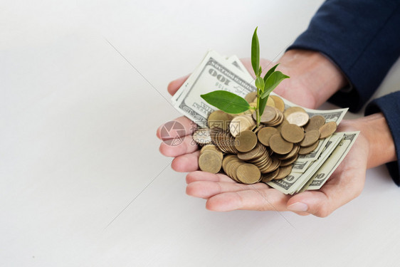 绿色经济种子拥有大量钱财的手与增长植物财富和投资的形象在成长中的植物财富和投资中图片