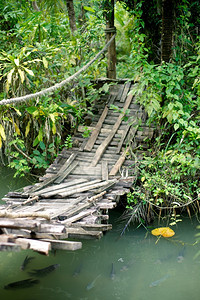 森林农场在泰国养鱼内有类的水库上架桥悬浮衬套图片