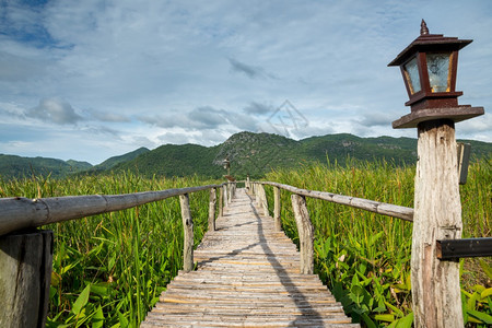 带山和蓝天空的木道夏人行桥旅图片