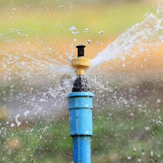 花园灌溉系统或喷水洒器自然溅图片