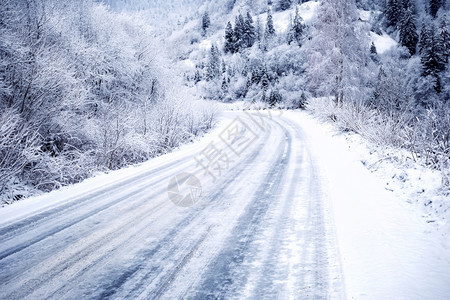 山之间森林中有雪覆盖的公路森林中有雪覆盖的公路街道排自然图片