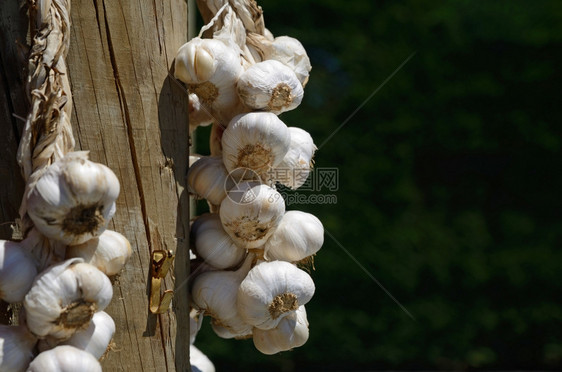 新鲜大蒜粉在蔬菜摊等着顾客的人辫子户外农业图片