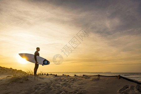 一个在沙丘上冲浪的者仰望着海假期夏天木板图片