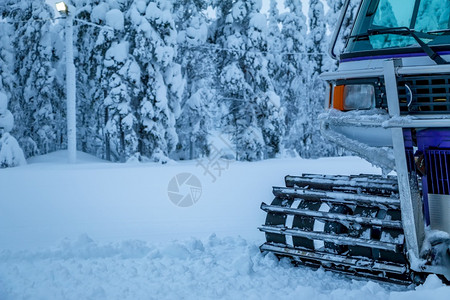 冬季下雪的白色森林图片