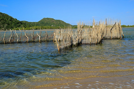 风景优美湖在南非汤加岛KosiBay河口建造的传统Tsonga渔网图片