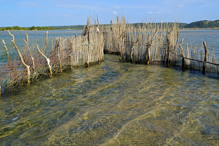 户外在南非汤加岛KosiBay河口建造的传统Tsonga渔网钓鱼图片