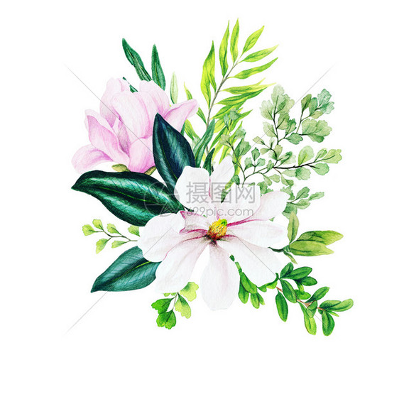 邀请Magnolia和叶子亮水彩色花束与fern手画插图美丽的花园图片