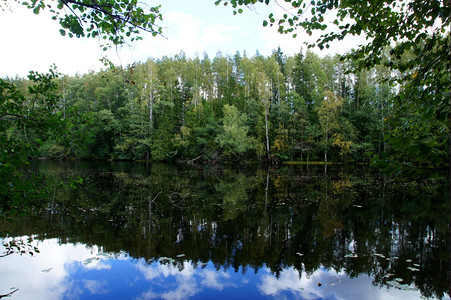 绿林及其在水中的反映湖环境射图片