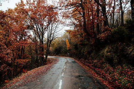 山地公路穿越秋色的林区信号寒冷户外图片