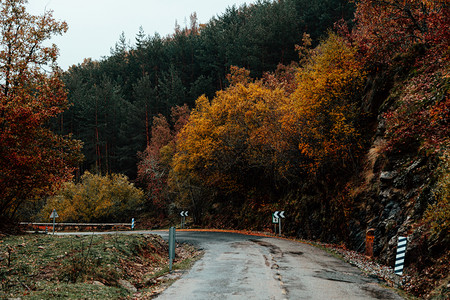 旅行山地公路穿越秋色的林区下雪颜色图片