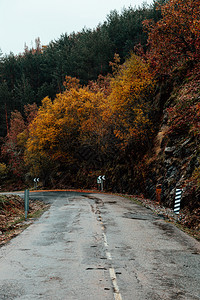 季节结石山地公路穿越秋色的林区橡木图片