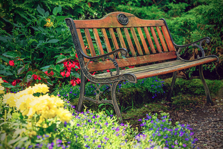 小路椅子自然花间园里的老式长凳图片
