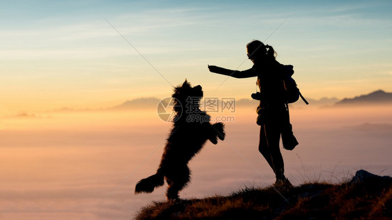 女孩给他的山狗照片背影带提供食物云彩和山峰背景非常壮观活力玩跳跃图片