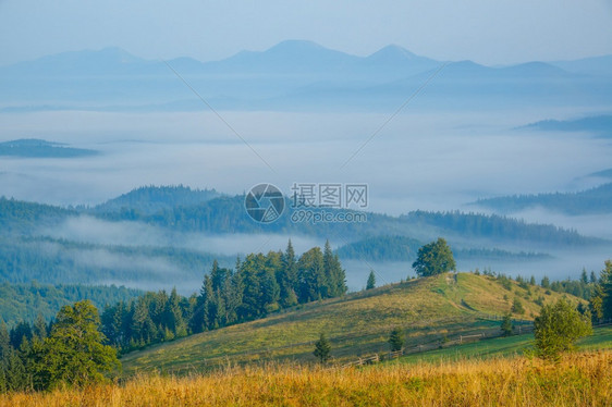 多雾路段场景天空后期计划蓝色山峰的夏季晨雾和河谷的薄下期计划蓝峰中的夏月早和峡谷薄雾图片