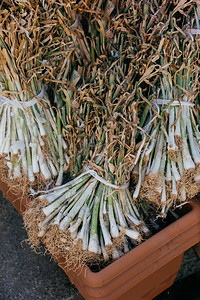 出售的大蒜植物堆叠在观景中美食沙拉有机的图片