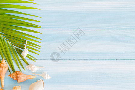 蓝木背景的顶部视图有贝壳和棕榈叶设计用于在图片中添加文字的自然概念旅行叶子支撑图片