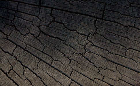加热剪切树桩表面作为背景纹理木桩板图片