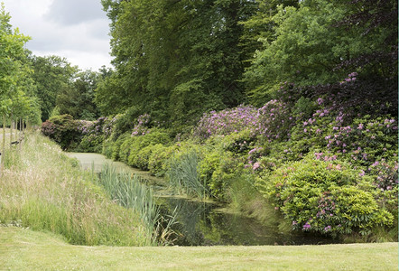 户外英国花园配有罗多登德伦植物和花朵园林绿化公图片