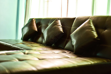 地毯在客厅的棕色沙发内部当代图片