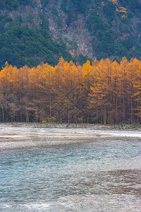 自然风景优美国民日本长野中原阿尔卑斯山之间的天然蓝河图片
