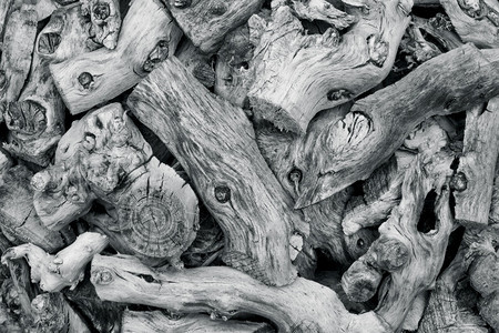 木质的老许多有结节旧树枝变色雨和风黑白背景阴影图片