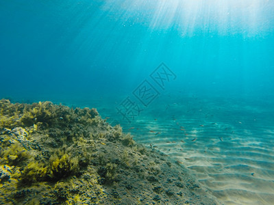 爱奥尼亚海水下风景哥普射中海生活蓝色的图片