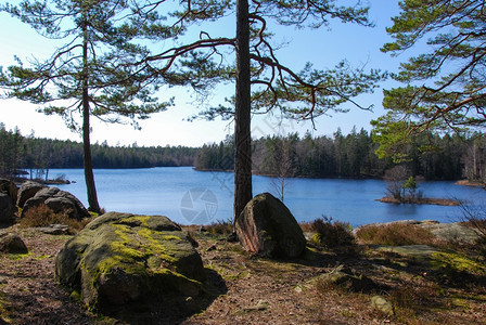 从瑞典斯马兰省观测到的透露湖风景优美绿色春天图片