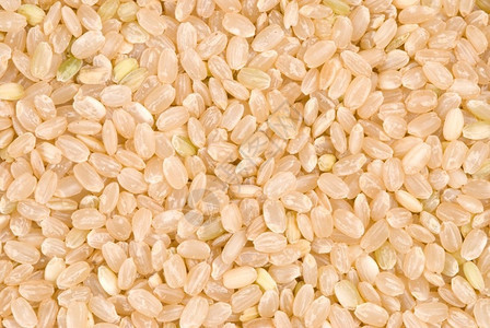 褐稻底主要食品白饭团体农业图片