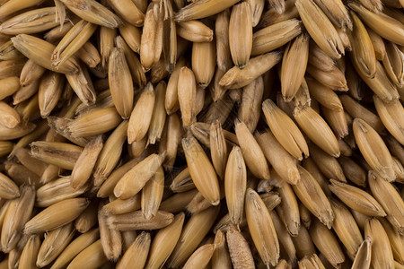 以天然燕麦为背景近距离拍摄碎粒饮食农业图片