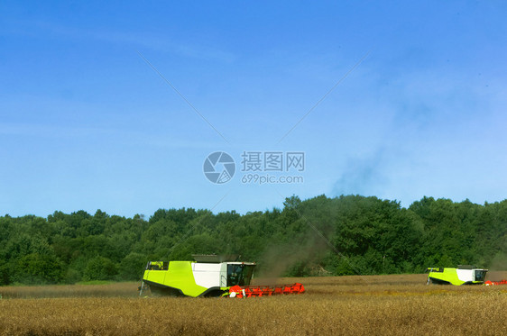 农场结合两台业机器在田间作谷物收割机在田间作业农用地两台机器在田间作农用地收割机在田间作业行图片