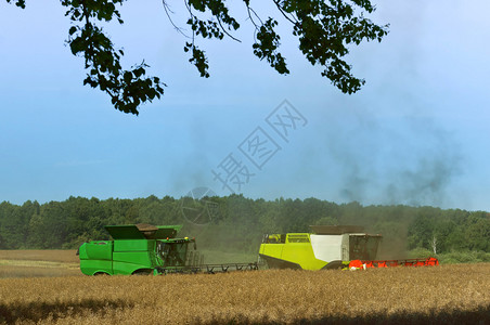 操作两台农业机器在田间作谷物收割机在田间作业农用地两台机器在田间作农用地收割机在田间作业土地收成图片