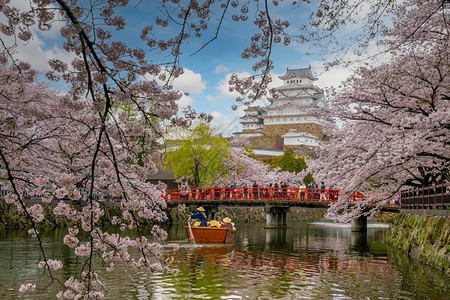 日本的冰木城堡和全樱花旅游著名的保持图片