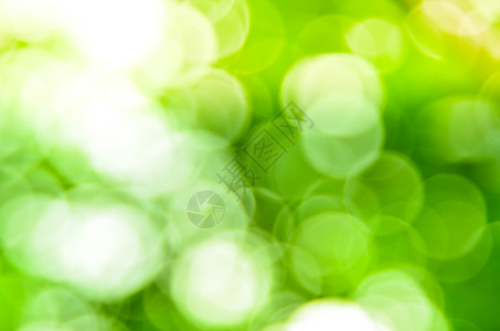 Greenbokeh抽象光背景有色颜柔软度图片