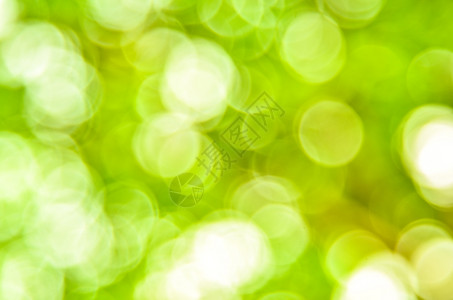 Greenbokeh抽象光背景散柔软的度图片